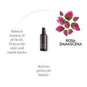 Purearth Wild Rose Himalayan Mist Ultimate Hydration Halo (100 ml)