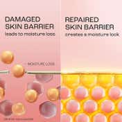 Lakme Peach Pro Ceramide Moisturizer with VitaminE for Dry Normal & Sensitive Skin (200 ml)
