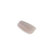 RENEE Stick On Nails - Cat Eye Nail 03 (Pack of 30)