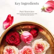 Forest Essentials Pure Rosewater Facial Tonic Mist (50ml)