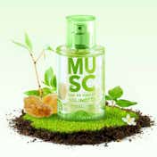 SOLINOTES Musc Eau de Parfum (50 ml)