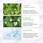 Dr.Althea Green Tea Fresh Sunscreen (45 ml)