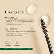 Ras Luxury Skincare Lash ious Lash and Brow Growth Serum (8 ml)