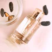 SOLINOTES Tonka Eau de Parfum (50 ml)