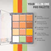 Daily Life Forever52 Academic 12 Color Concealer Palette - FAC702 (24 g)
