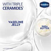 Vaseline Lip Therapy Serum Infused Derma Protection Lip Balm with Triple Ceramides Shea Butter (3 g)