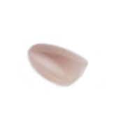 RENEE Stick On Nails - Cat Eye Nail 06 (Pack of 30)