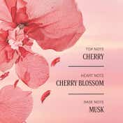 L'Occitane Cherry Blossom Giftset for Her (4 pcs)