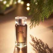 Karl Lagerfeld Parfums Matieres Bois D'Ambre EDT (50 ml)