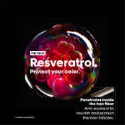 L'OREAL PROFESSIONNEL Vitamino Color Mask for Color Protection with Resveratrol (250 ml)