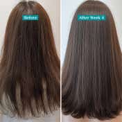 Pilgrim Spanish Rosemary & Biotin Anti-Hairfall Shampoo For Reducing Hair Loss & Breakage (200ml)
