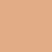PAC Dewy Glow Liquid Filter Foundation - LF Light-140 (28 ml)