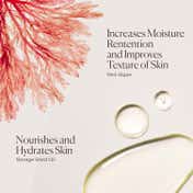 Laura Mercier Almond Coconut Honey Bath (250 ml)