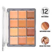 Daily Life Forever52 Academic 12 Color Concealer Palette - FAC701 (24 g)