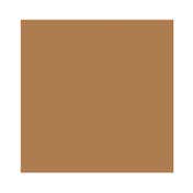 Laura Mercier Tinted Moisturizer Natural Dewy SPF 30 - 4N Teak (45 ml)