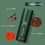 The Man Company Privilege Hero Deodorant Combo for Men (3 pcs)