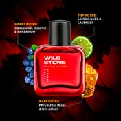 Wild Stone Ultra Sensual Eau De Parfum (50ml)