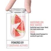Lakme Blush & Glow Watermelon Rice Water + Cica Jelly Facewash (100 g)
