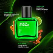 Wild Stone Forest Spice Eau De Parfum (50ml)