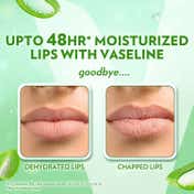 Vaseline Lip Care Balm Stick - Aloe Vera (4.8 g)