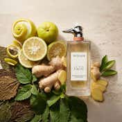 Trussardi The Italian Artists Of Via Solferino Eau De Parfum Unisex (100 ml)