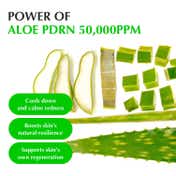 EQQUALBERRY Aloe Pdrn Calming Serum with Cica & Ceramides (30 ml)