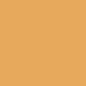 Pilgrim Dream Matte Foundation Stick - 245 Classic Almond (10 g)
