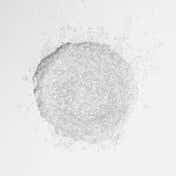 Daily Life Forever52 Stardust Loose Glitter - Lunar Frost (2 g)
