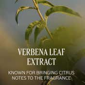 L'occitane Verveine Verbena Perfumed Body Lotion (75 ml)