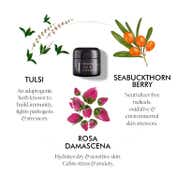 Purearth Gulabo Rose and Seabuck Replenishing Face Creme 17 Barrierrestoring Botanicals (50 g)