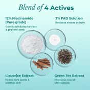 The Pink Foundry 12% Niacinamide Super Clarifying Face Serum (30ml)