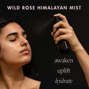 Purearth Wild Rose Himalayan Mist Ultimate Hydration Halo (100 ml)