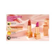 Oulac Metallic Shine Lipstick - GM15 Shes A Lover (4.3 g)