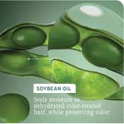 Biolage Colorlast Conditioner for Color Treated Hair with Stearic Acid (100 ml)