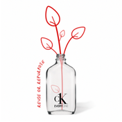 Calvin Klein Everyone Eau De Toilette (50ml)
