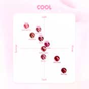 Rom&nd The Juicy Lasting Tint - 05 Jujube (3.5 g)