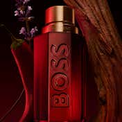 Hugo Boss The Scent Elixir Parfum Intense for Him (50 ml)