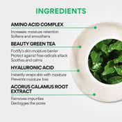 Innisfree Green Tea Amino Acid Foam Cleanser (80 g)