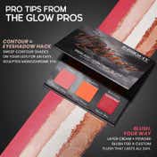 Insight Cosmetics Blush, Highlighter and Contour Palette - Glow Getter (28.8 g)