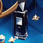 Afnan Modest Une Eau de Parfum (100 ml)