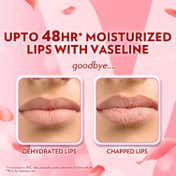 Vaseline Lip Care Balm Stick - Rosy Lips (4.8 g)