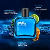 Wild Stone Hydra Energy Eau De Parfum (100ml)