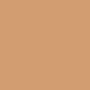 PAC Dewy Glow Liquid Filter Foundation - LF Deep-300 (28 ml)