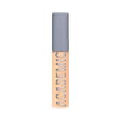 Daily Life Forever52 Academic Concealer - FAC4.20 Medium Almond (10.2 ml)