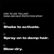 Sebastian Professional Trilliant Shine and Heat Protection Spray (150 ml)