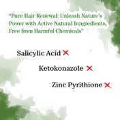 Ktein 100% Plant Based Gentle Scalp Spray For Dandruff Control (100 ml)