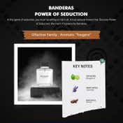 Banderas Power Of Seduction Eau de Toilette (100 ml)
