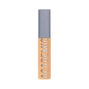 Daily Life Forever52 Academic Concealer - FAC4.45 Warm Clay (10.2 ml)