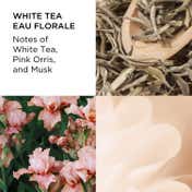 Elizabeth Arden White Tea Eau Florale Eau de Toilette (100 ml)