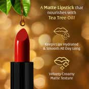 Faces Canada Comfy Matte Velvet Touch Lipstick - Fierce Brown 17 (4.2 g)
